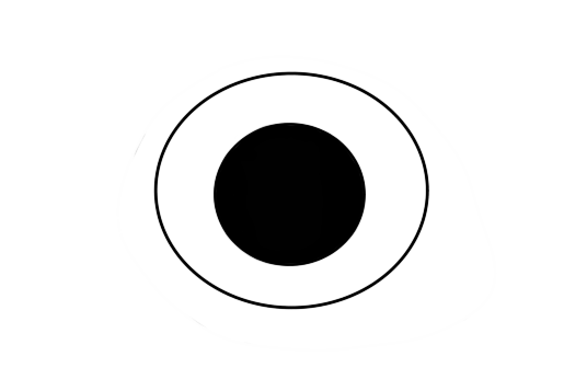 Hier ist vereinfacht ein Auge mit einer runden Pupille dargestellt.