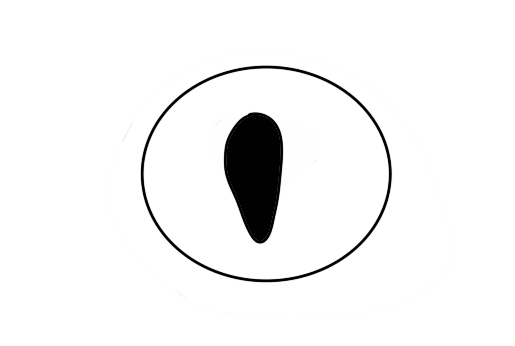 Hier ist vereinfacht ein Auge mit einer senkrechten, schlitzförmigen Pupille dargestellt.